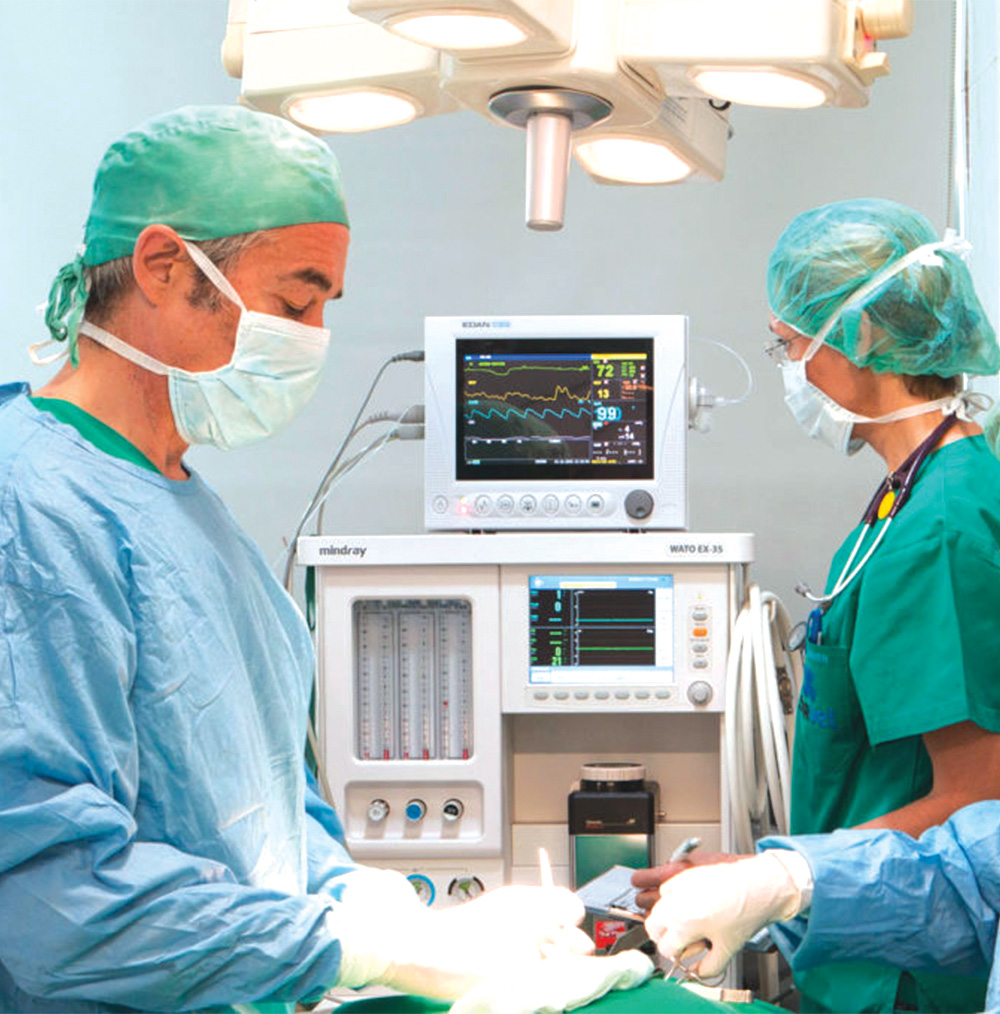 dr Em hospital veterinario
